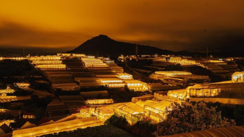 NHA TRANG – ĐÀ LẠT 
THÀNH PHỐ HOA BIỂN 

