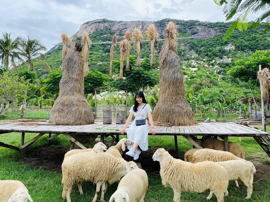 NHA TRANG – ĐÀ LẠT 
THÀNH PHỐ HOA BIỂN

